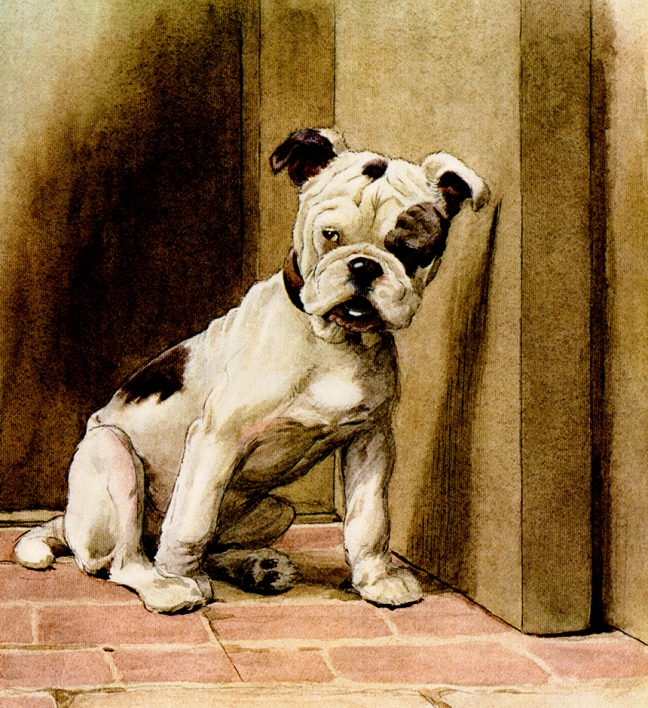 Illustration:  Bulldog Puppy.  OUR FRIEND THE DOG  By Maurice Maeterlinck.  Illustrated by Cecil Alden.  Dodd, Mead & Company: New York. 1913.