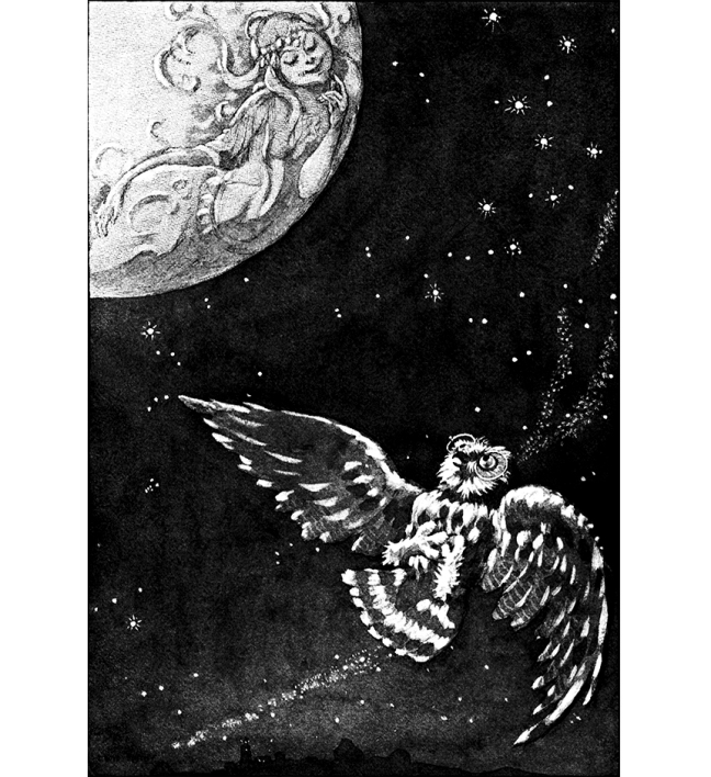 Illustration:  From the Story "THE OWL AND THE MOON."  The Curious Book of Birds.  Written by Abbie Farwell Brown.  Illustrations by E. Boyd Smith.  Houghton, Mifflin & Company: Boston & New York. 1903.